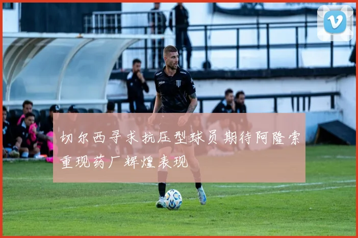 切尔西寻求抗压型球员期待阿隆索重现药厂辉煌表现