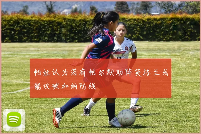 帕杜认为若有帕尔默助阵英格兰或能攻破加纳防线